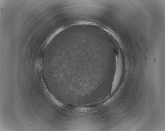 X0000085761377200703301417