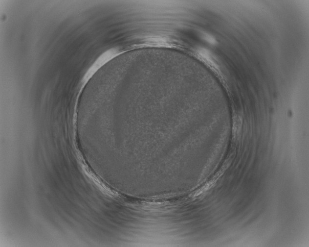 X0000085761378200703301417