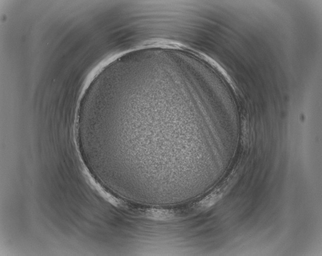 X0000085761379200703301417