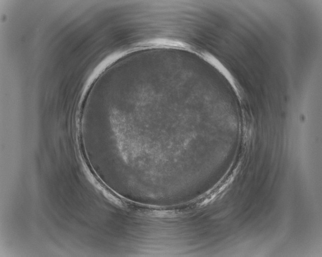 X0000085761381200703301417