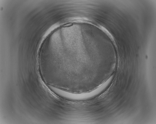 X0000085761384200703301417
