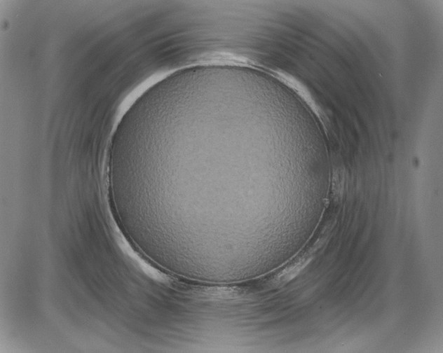 X0000085761387200703301417