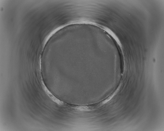 X0000085761388200703301417