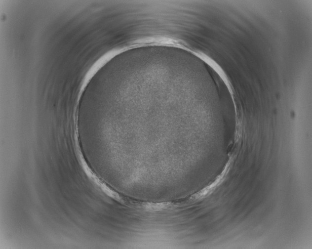 X0000085761389200703301417