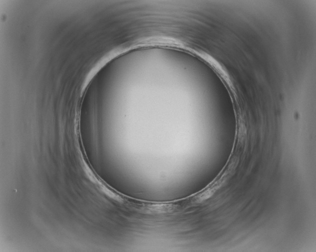 X0000085761390200703301417