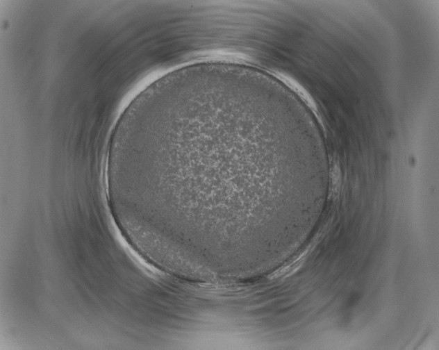 X0000085761391200703301417