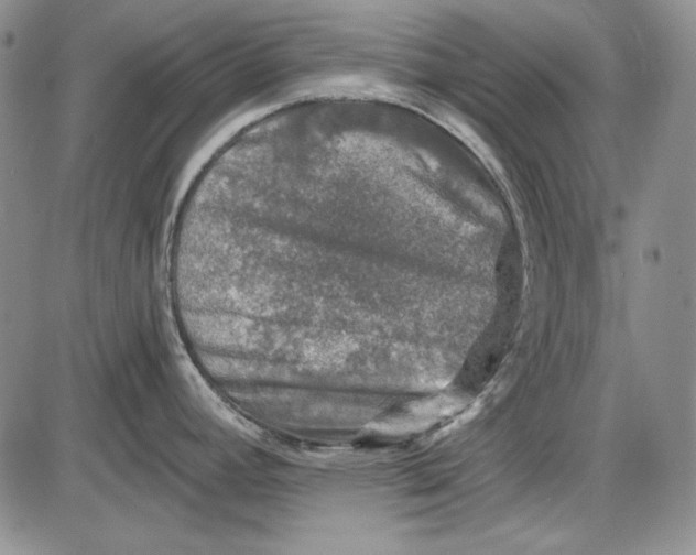 X0000085761392200703301417
