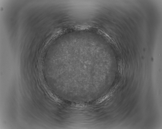 X0000085761393200703301416