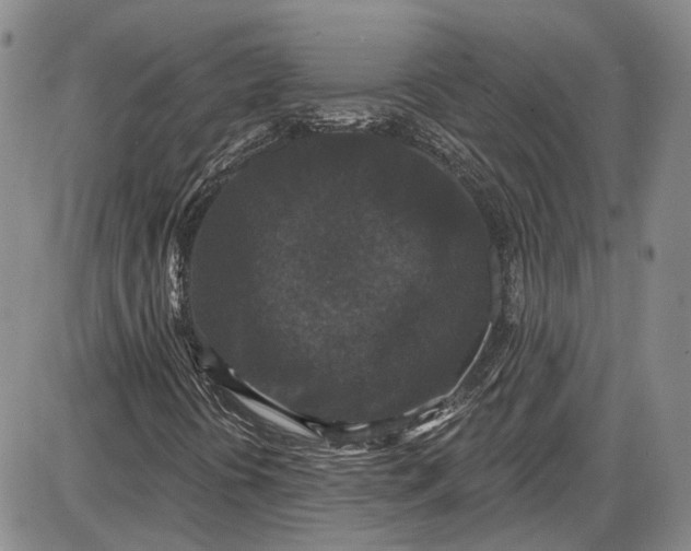 X0000085761394200703301416