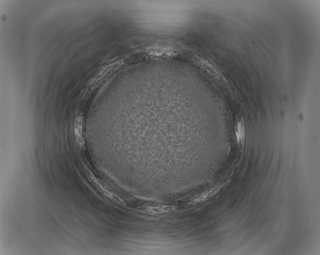 X0000085761396200703301416