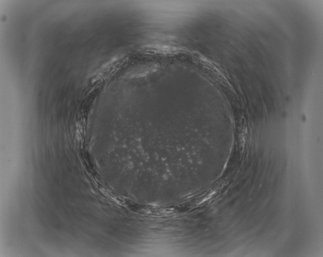 X0000085761397200703301416