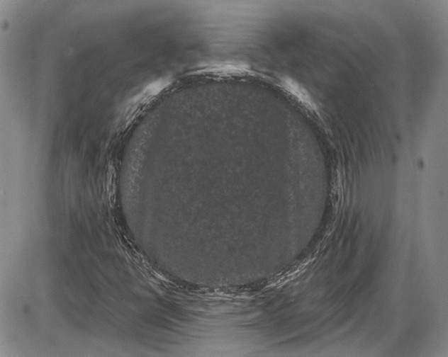 X0000085761398200703301416