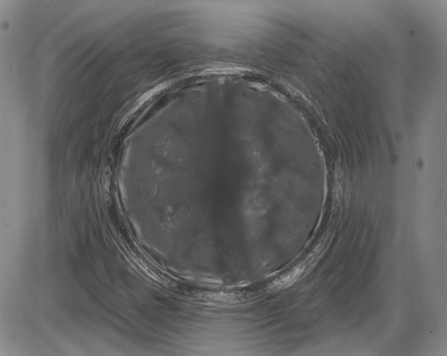 X0000085761401200703301416