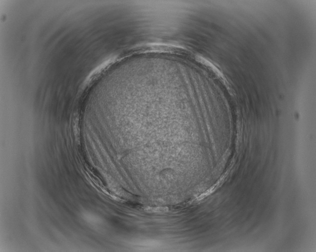 X0000085761403200703301416