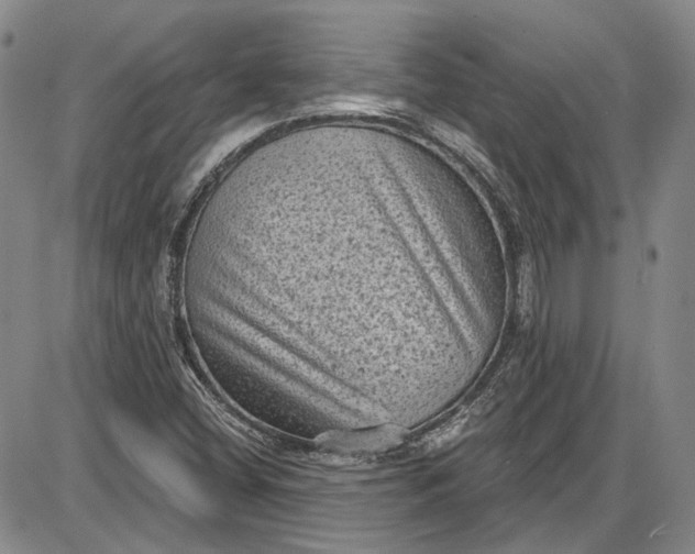 X0000085761404200703301416