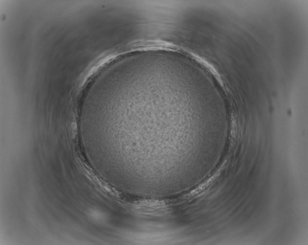 X0000085761407200703301416