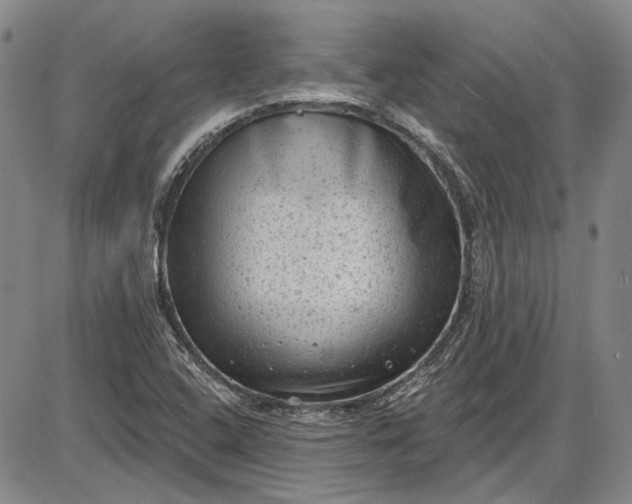 X0000085761408200703301416