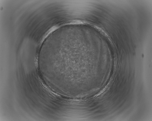 X0000085761409200703301416