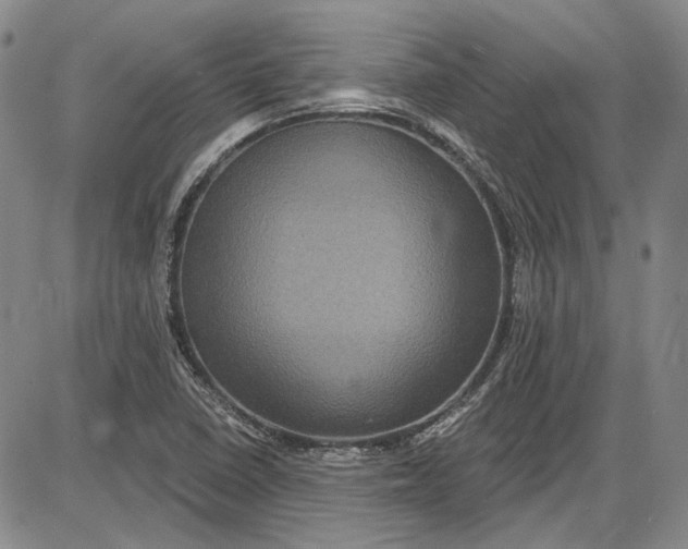 X0000085761410200703301416