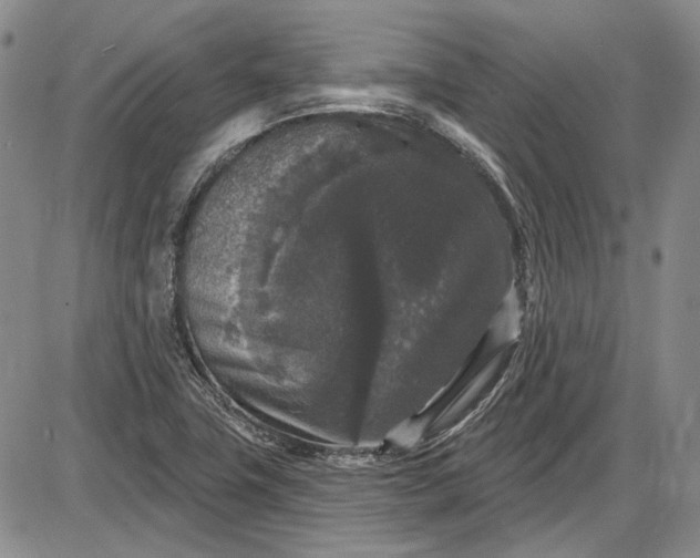 X0000085761411200703301416