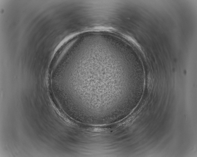 X0000085761412200703301416