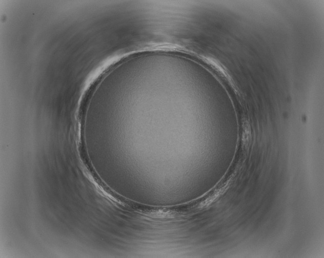 X0000085761414200703301416