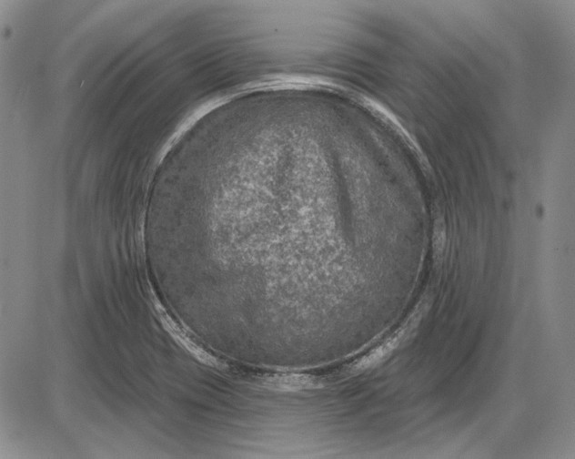 X0000085761417200703301416