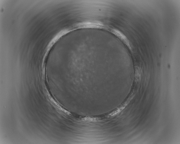 X0000085761419200703301416