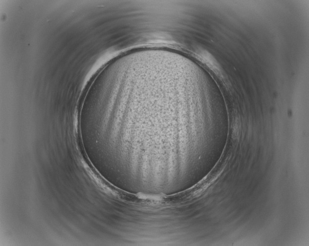 X0000085761420200703301416
