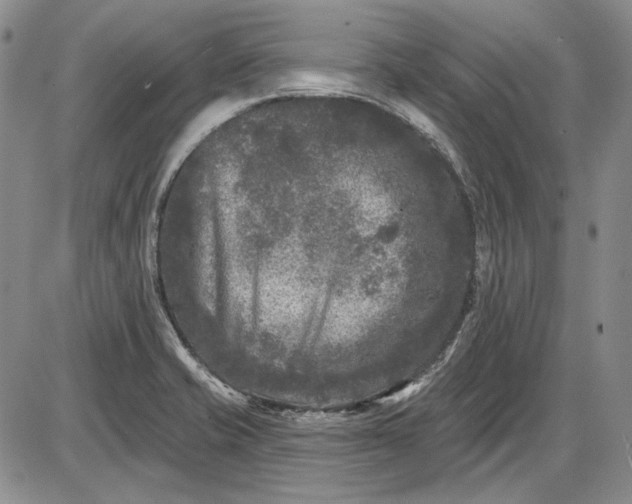 X0000085761421200703301416