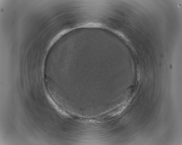 X0000085761422200703301416