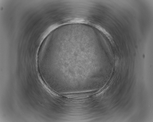 X0000085761423200703301416