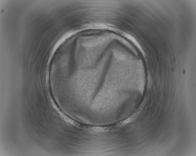 X0000085761424200703301416