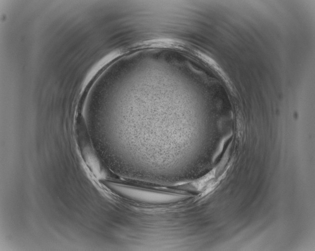 X0000085761426200703301416