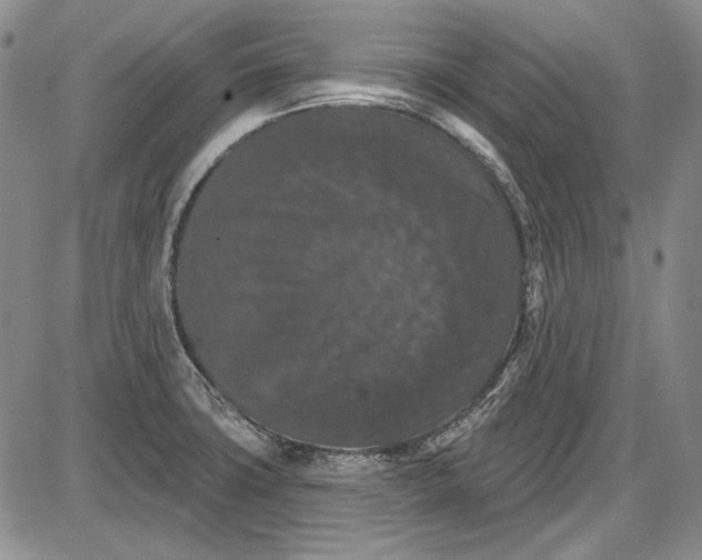 X0000085761427200703301416