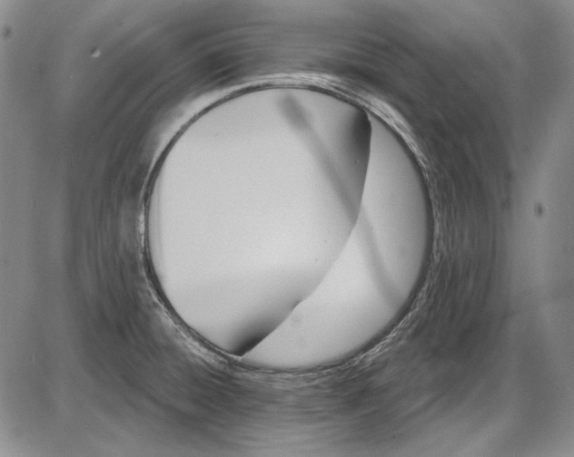 X0000085761428200703301416