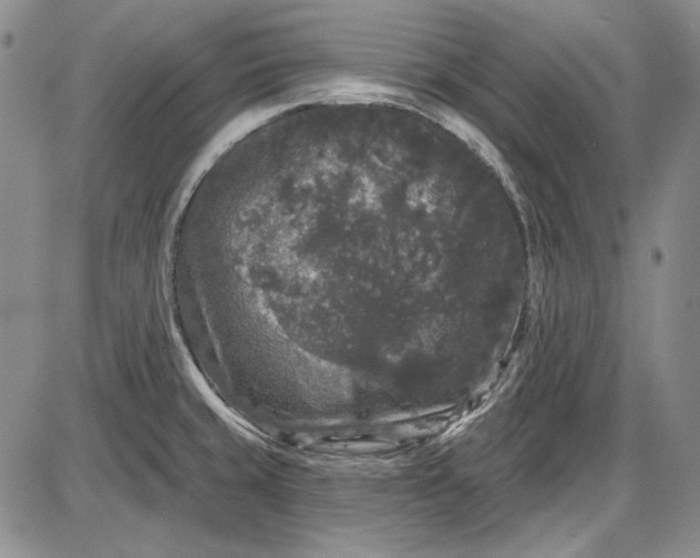 X0000085761429200703301416