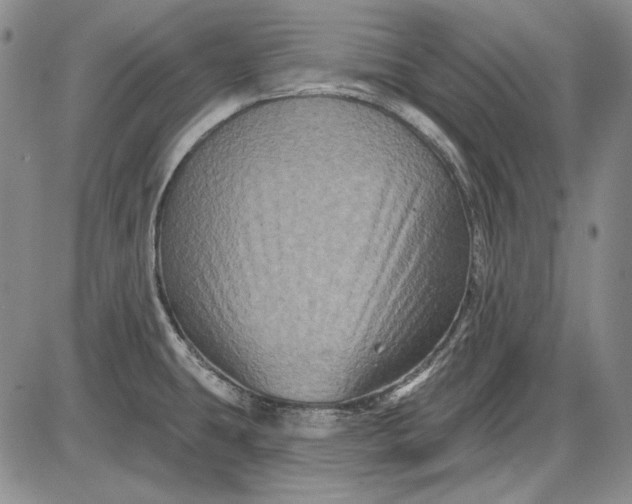 X0000085761431200703301416