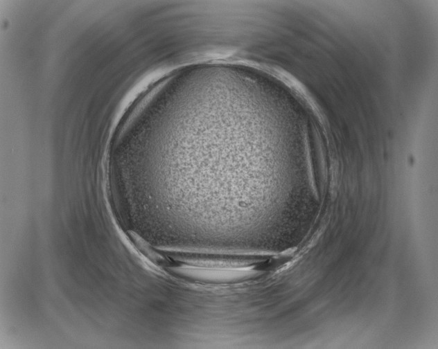 X0000085761432200703301416