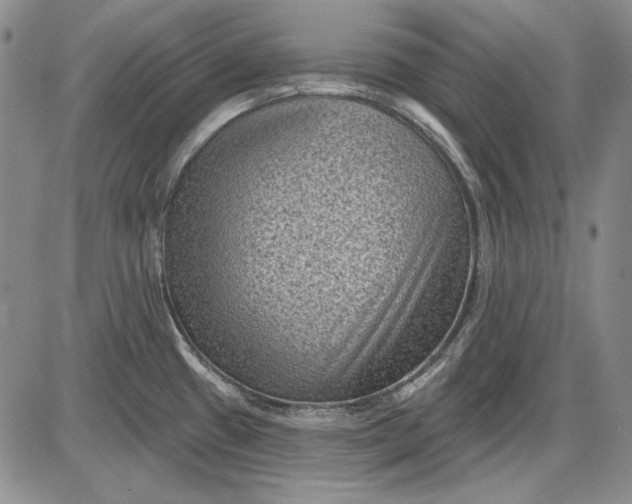 X0000085761433200703301416