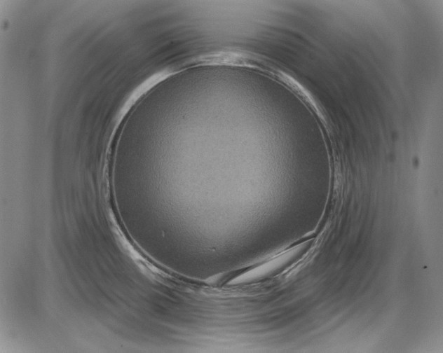 X0000085761434200703301416