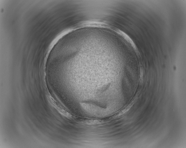 X0000085761435200703301416
