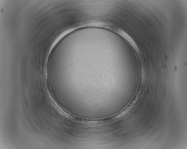 X0000085761436200703301417