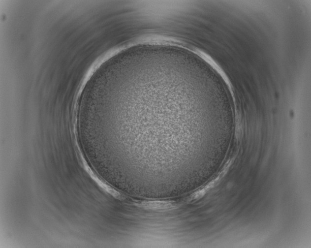 X0000085761437200703301417