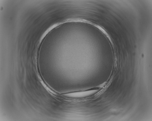 X0000085761438200703301417