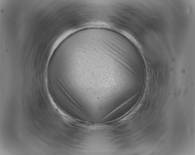 X0000085761440200703301417