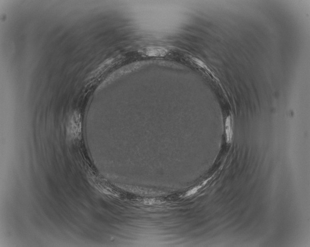 X0000085761443200703301416