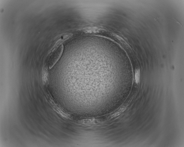 X0000085761444200703301416