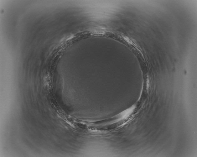 X0000085761445200703301416
