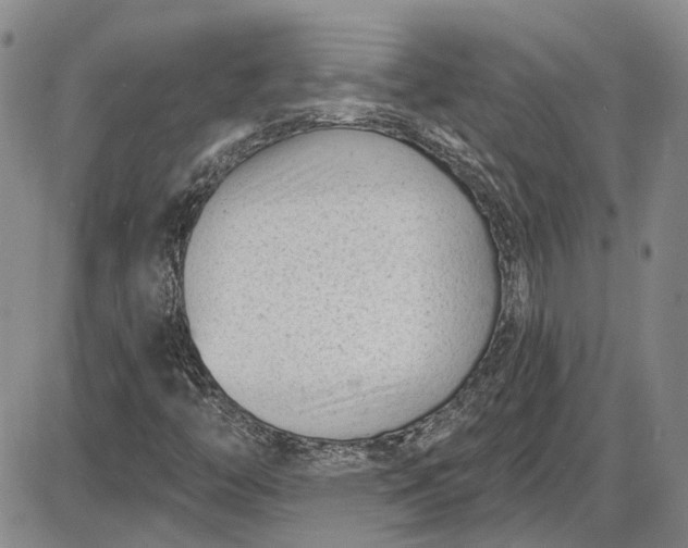 X0000085761446200703301416